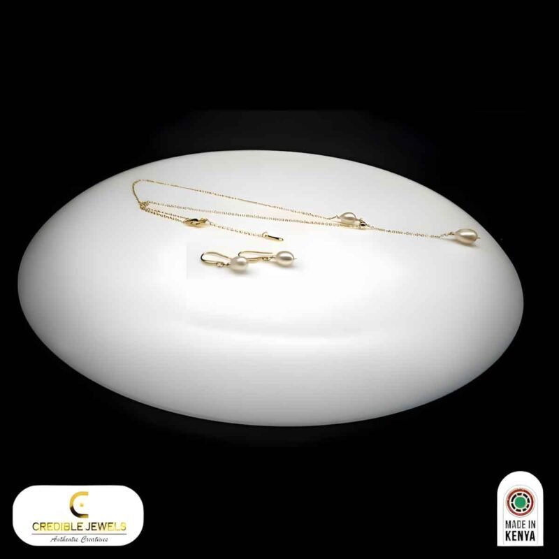 Elegance Dainty Drop Necklace & Earring Set
